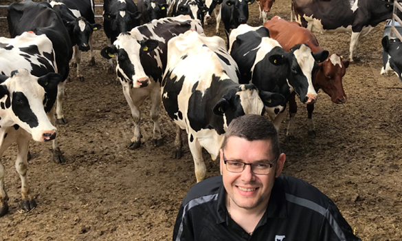 A man standing in front of cows in a cow shed.